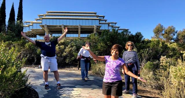 Wellness Walks